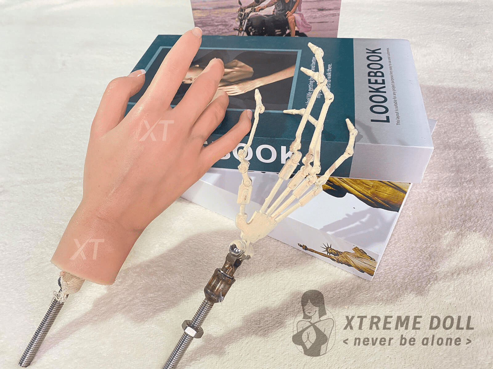 https://xtdoll.com/wp-content/uploads/2023/07/bionic-finger-bone-1.png