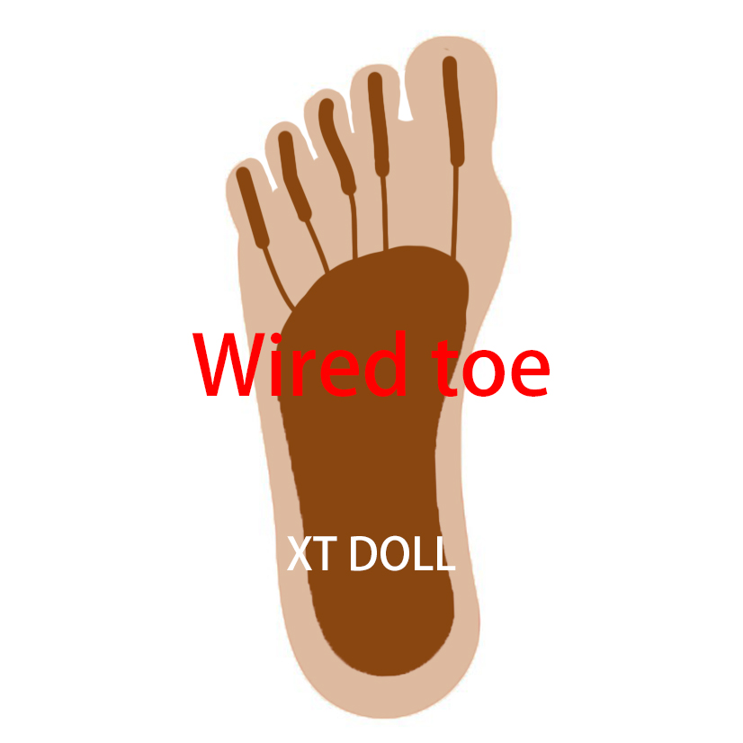 Wired Toe