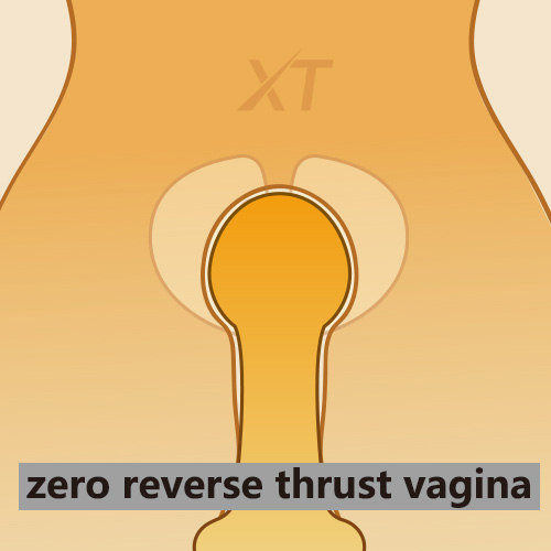 Zero Reverse Thrust Vagina