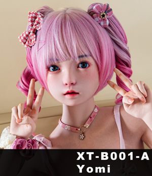 XT-B001-A (Optional ROS)