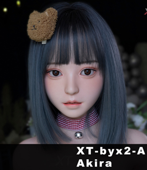 XT-byx2-A (Optional ROS)