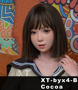 XT-byx4-B (Optional ROS)
