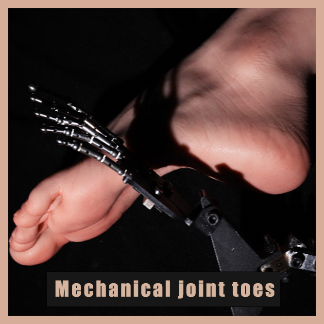 Mechanical joint toes