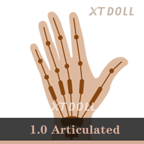 1.0 Articulated