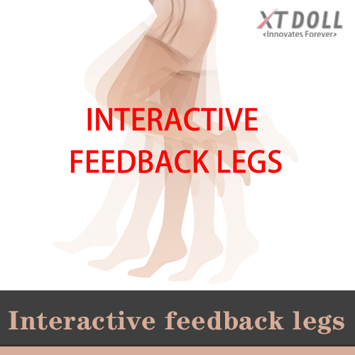 2.0 Interactive Feedback Legs
